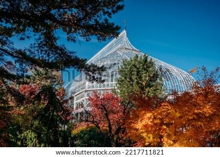 Bright and colorful autumn foliage at a greenhouse conservatory