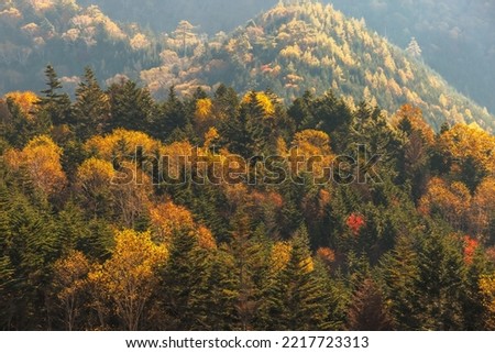 Mountain scenery with colored leaves around Mt. Nikko-Shirane
Nikko-Shirane is one of Japan's 100 famous mountains Royalty-Free Stock Photo #2217723313