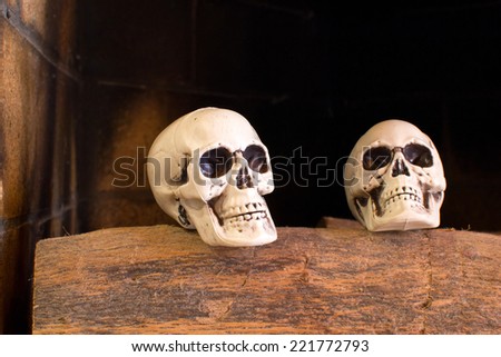 skulls in a fireplace 