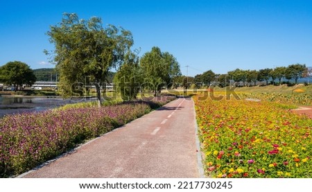 A field of colorful autumn flowers blooming on the banks of the river.