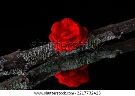 Close up Crochet red rose flower on old lichenous tree branch hand made concept on black mirror background with reflection. Horizontal, copy space