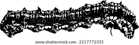 Vector illustration of a caterpillar in black and white