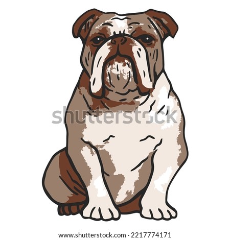 English Bulldog Pet Colored Drawing