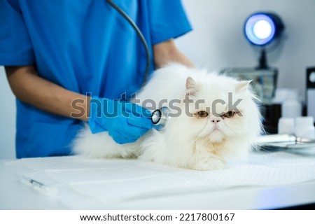 Veterinary for treating sick cats, Maintain animal health Concept, in animal hospital