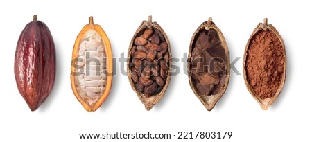 Top view of fresh cocoa fruit, fresh and dried cocoa beans  isolated on white background. Clipping path. Royalty-Free Stock Photo #2217803179