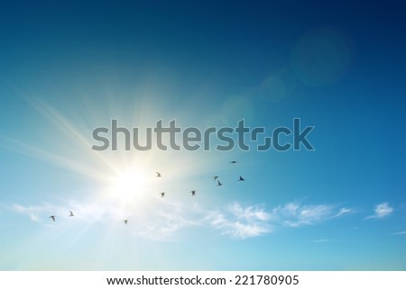 Sun shining and birds flying over a heavenly blue sky Royalty-Free Stock Photo #221780905