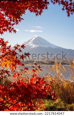 Aerial Skyline Landscape of Fuji Mountain with Beautiful Autumn Leaves. Iconic and Symbolic Mountain of Japan. Scenic Sunset Landscape of Fujisan at Evening Time, Kawaguchiko, Yamanashi, Japan. Royalty-Free Stock Photo #2217814047