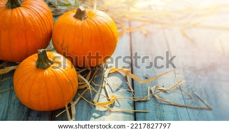Autumn  Pumpkin  on old wooden table background. Thanksgiving day concept.