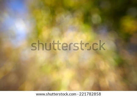 Beautiful abstract background nature blur