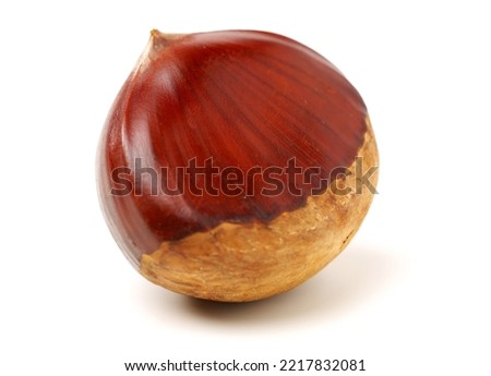 chestnut on a white background Royalty-Free Stock Photo #2217832081
