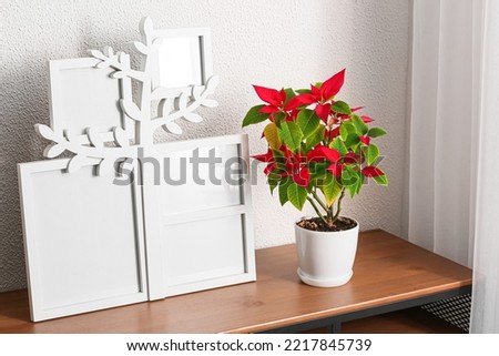 Family tree with photo frames and plant on table near light wall