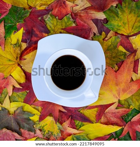 Creative autumn design made of white coffee cup with colorful leaves. Minimal concept. Copy space. Fall art. Autumn coffee.