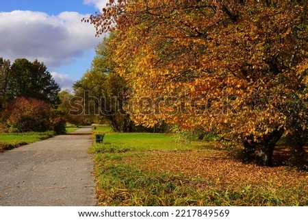 Magic autumn. Alley in the park. Beautiful autumn colors 