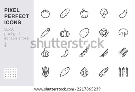 Vegetables line icon set. Pumpkin, cucumber, broccoli, carrot, zucchini, asparagus, potato, garlic minimal vector illustration. Simple outline sign for veggies. 30x30 Pixel Perfect, Editable Stroke Royalty-Free Stock Photo #2217865239