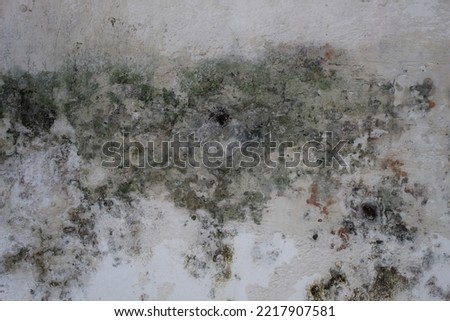  cracked and mossy wall background, polished gray concrete grunge textured wall, rough wall texture background, damaged dirty mossy wall surface Royalty-Free Stock Photo #2217907581