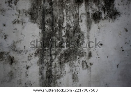  cracked and mossy wall background, polished gray concrete grunge textured wall, rough wall texture background, damaged dirty mossy wall surface Royalty-Free Stock Photo #2217907583