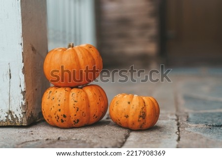 Autumn background. Pumpkins for decor and home decoration for Halloween and Thanksgiving. October, November, atmosphere and autumn mood concept.