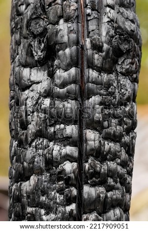 Black burnt log of a house burned by fire. Charcoal wood texture close up