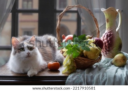 Curious kitty on a table with fruits and ceramic jug