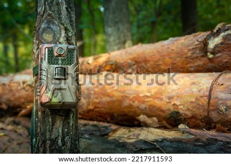 Camera trap attached in the forest, woods monitoring, eastern Poland