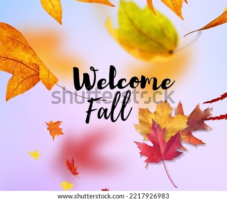 nature picture to welcome fall this winter
