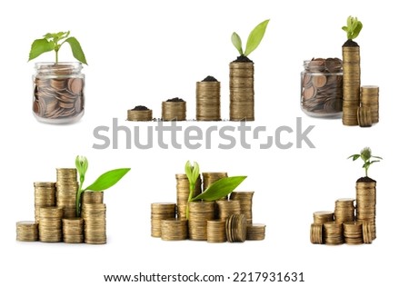 Set with jars, coins and growing plants on white background. Successful investment
