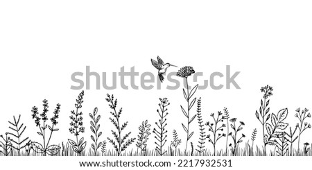 Silhouettes of flowers, grass with wild plants and hummingbirds. Sketch. Royalty-Free Stock Photo #2217932531