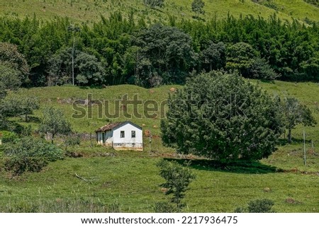 Rural landscape with grass, trees and small house on the hill. Minas Gerais, Brazil