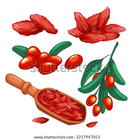 goji berry red set cartoon. food leaf, healthy, fruit antioxidant, wolfberry vitamin, chinese health, organic goji berry red vector illustration Royalty-Free Stock Photo #2217947053