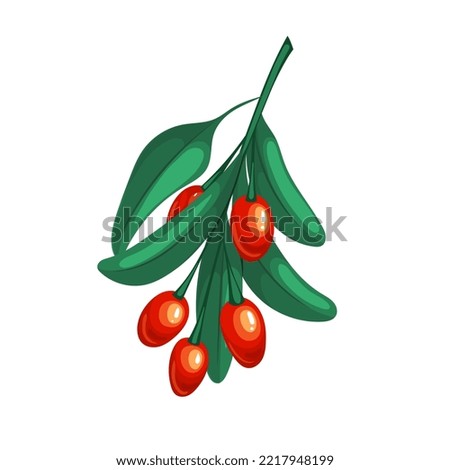 goji leaf cartoon. red fruit, wolfberry barbarum, closeup food, lycium healthy, chinese ripe, barberry goji leaf vector illustration Royalty-Free Stock Photo #2217948199