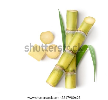 Flat lay of Fresh sugar cane stalk with peeled isolated on white background. Royalty-Free Stock Photo #2217980623