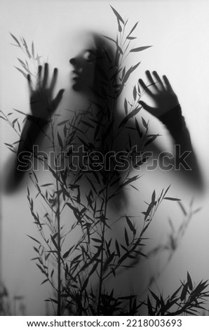 shadow of a girl behind transparent paper