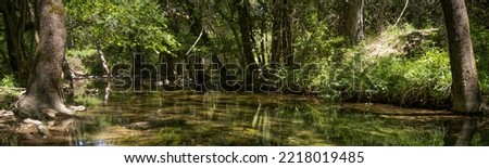 Panoramic view of a small calm river with stones and reflections in a green forest