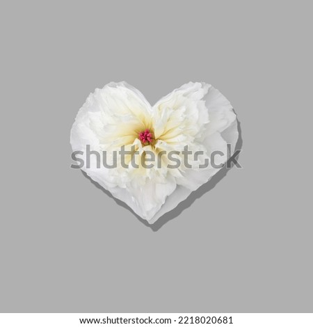 Square shot of heart shape made of peony flower isolated on gray background.