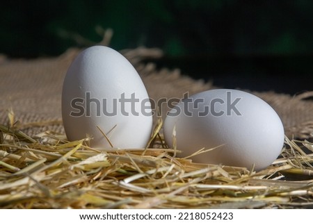 Natural eggs in the henhouse