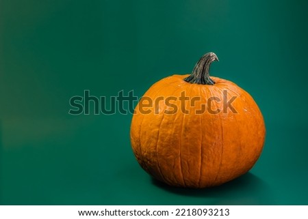 Pumpkin in front of a green background