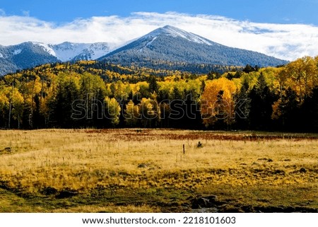 Photograph of Fall colors in Flagstaff, Arizona