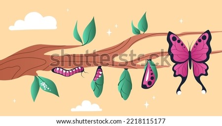 Stages of growth of butterfly. Nature, flora and fauna. Aesthetics and elegance. Poster or banner for website. Symbol of forest and springtime. Outdoor and biology. Cartoon flat vector illustration