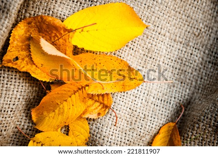 Autumn Leaves over Burlap background