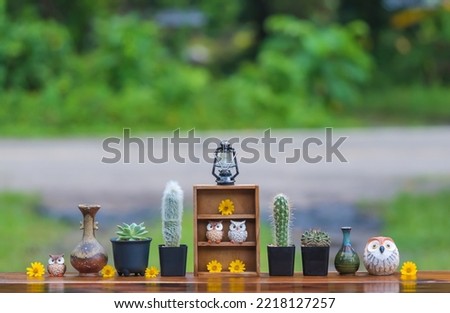 Beautiful  cactus ,wooden shelf ,vintage  jar  and  simulated  owls  on  wood  table  with  nature blurry  background .