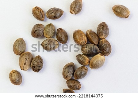 Close up cannabis seeds on white background. hemp seeds have omega 3 6 9 help heart, sleep, body pain. Top view Royalty-Free Stock Photo #2218144075