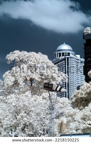 Infrared photography Lumphini Park, White trees, Outdoor, white trees
