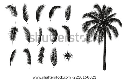 Palm leaves set. Palm tree silhouette and palm branches. Vector illustration