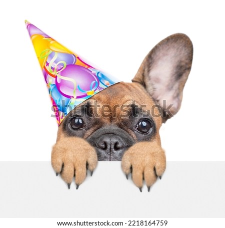 French bulldog puppy wearing party cap looks above empty white banner. isolated on white background