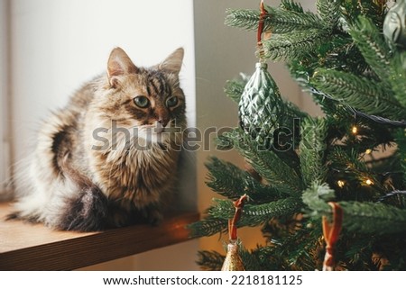 Cute cat sitting at stylish christmas tree with vintage baubles. Pet and winter holidays. Adorable tabby cat sitting on wooden window sill near decorated tree in festive room. Merry Christmas!