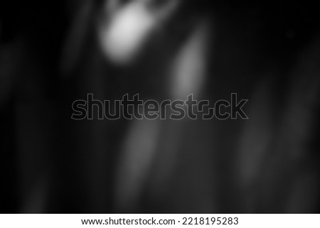 Dark black and gray blurred gradient and leaf shadow background has a little abstract light. Royalty-Free Stock Photo #2218195283