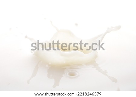 milk water splash in the milk pond