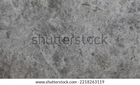 Tundra Grey Marble Slab Texture