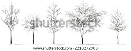 winter tree snow isolated on white Royalty-Free Stock Photo #2218272983