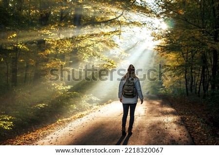 Woman walks on road in autumn forest with sunbeam shine through trees. Moody atmosphere during hiking in cold morning sunrise Royalty-Free Stock Photo #2218320067